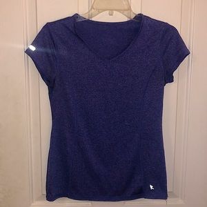 Danskin Now active blue v-neck shirt.